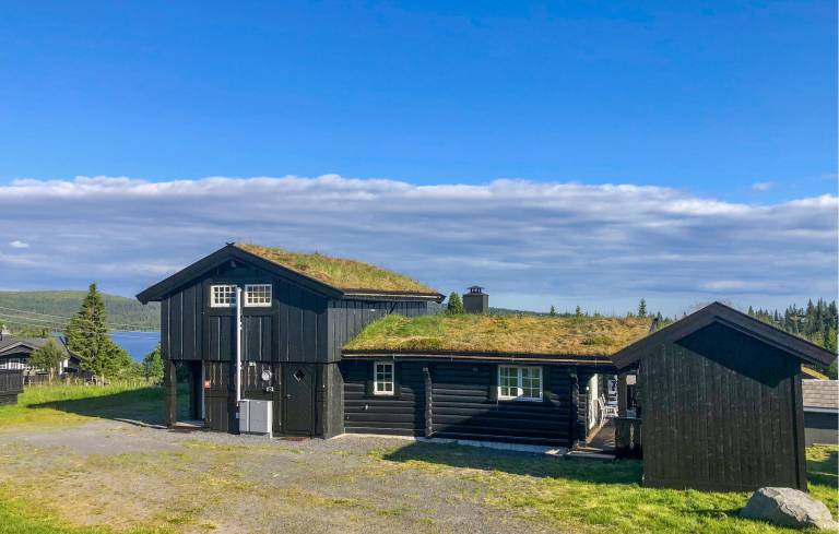 Hus Sjusjøen