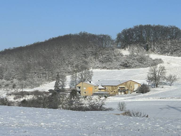Ferienwohnung Meisenheim