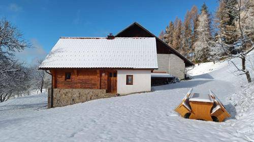 Apartma Rogla