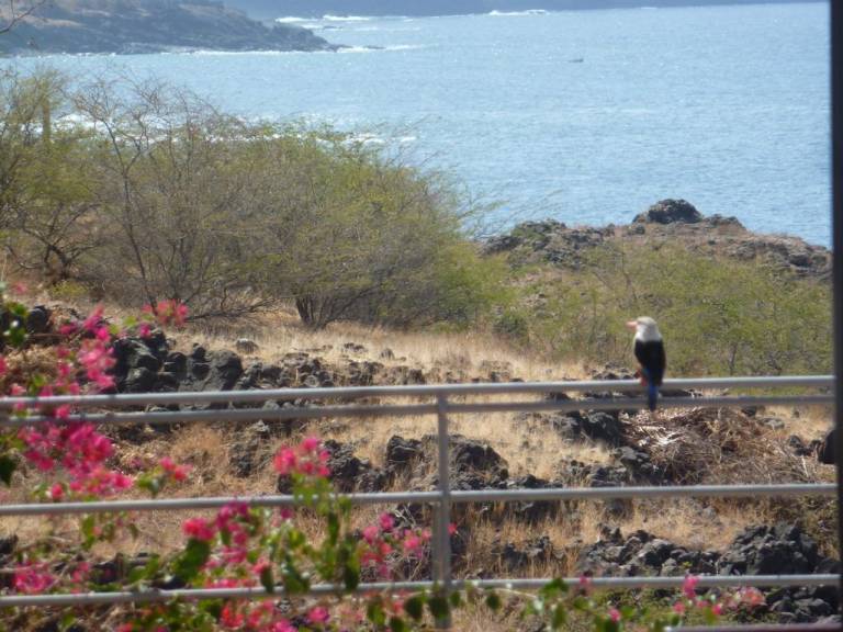 Villa Bairro de São Sebastião
