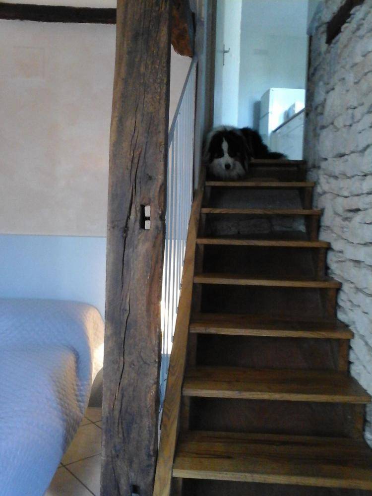 foto18