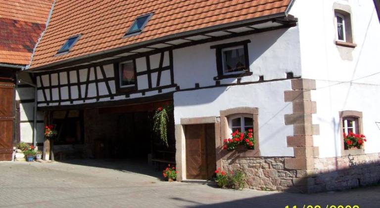 Wonderful apartment | Pets allowed in Haguenau