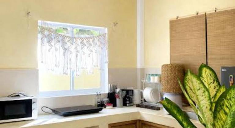 Nice holiday apartment | Close to the beach | Pets allowed — photo 4