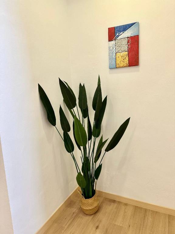foto19