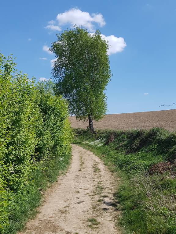 foto17
