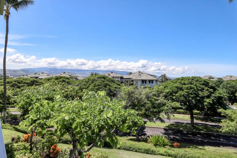 Condo Puako