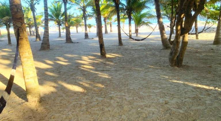 Quarto acolhedor in Aracaju