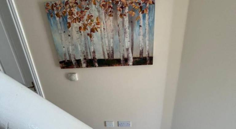 foto11