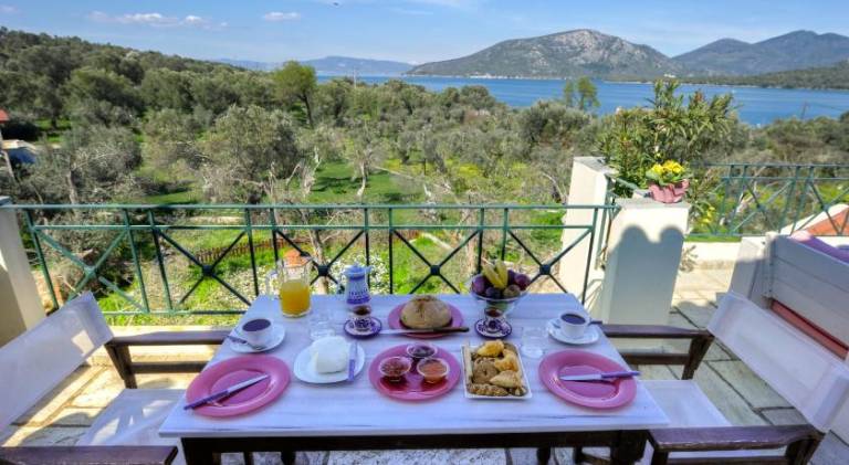 Gera's Olive Grove - Elaionas Lesvou — photo 3