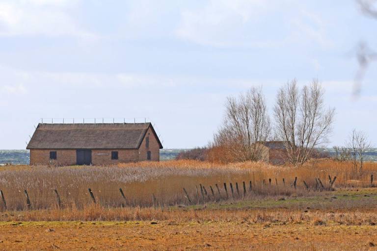 foto18