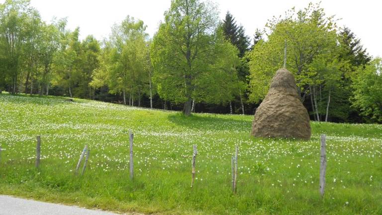 foto39