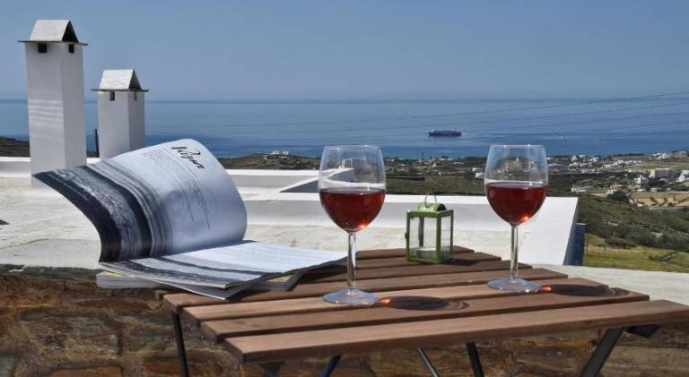 Rental apartment with yard & patio in Tinos