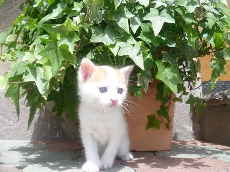 foto35