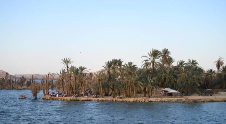 The Green Siwa Hotel — photo 4