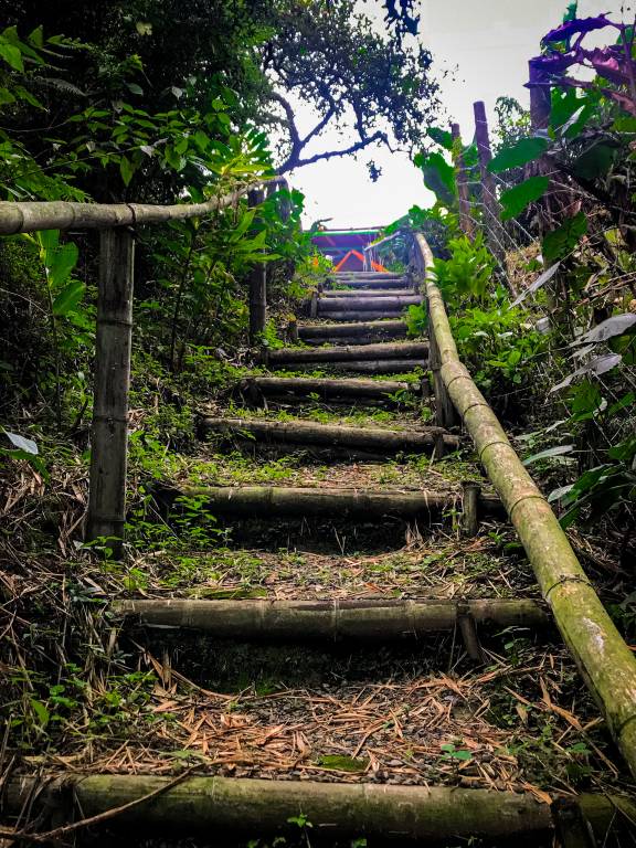 foto10