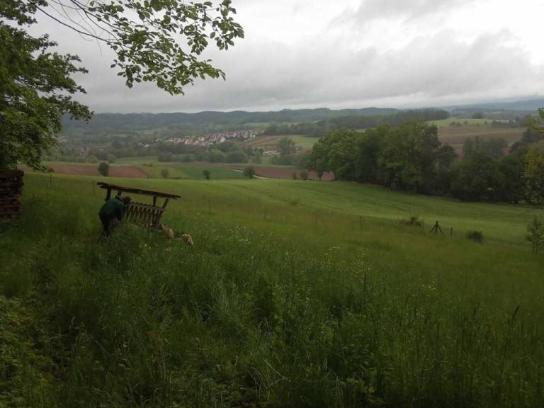 foto17