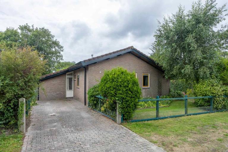 foto31