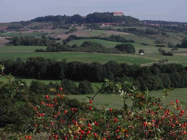 foto42