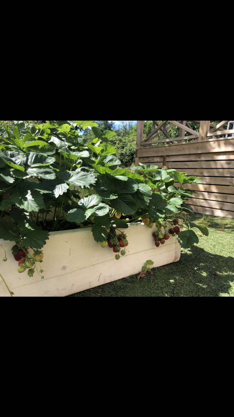 foto23
