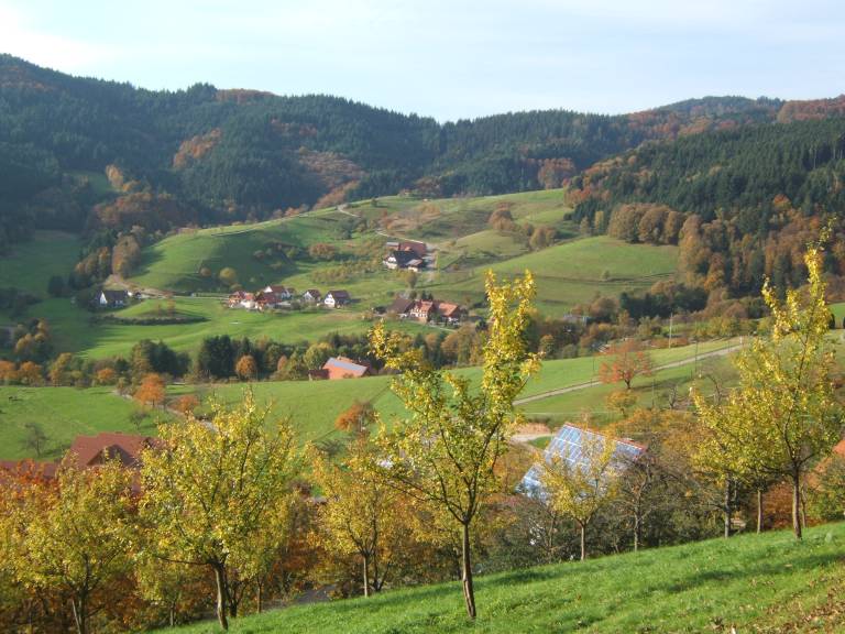 foto2