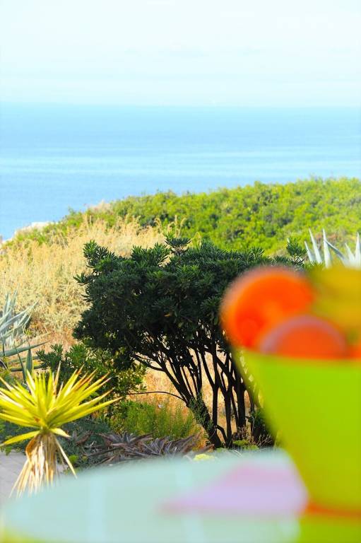 Ferienwohnung Carvoeiro