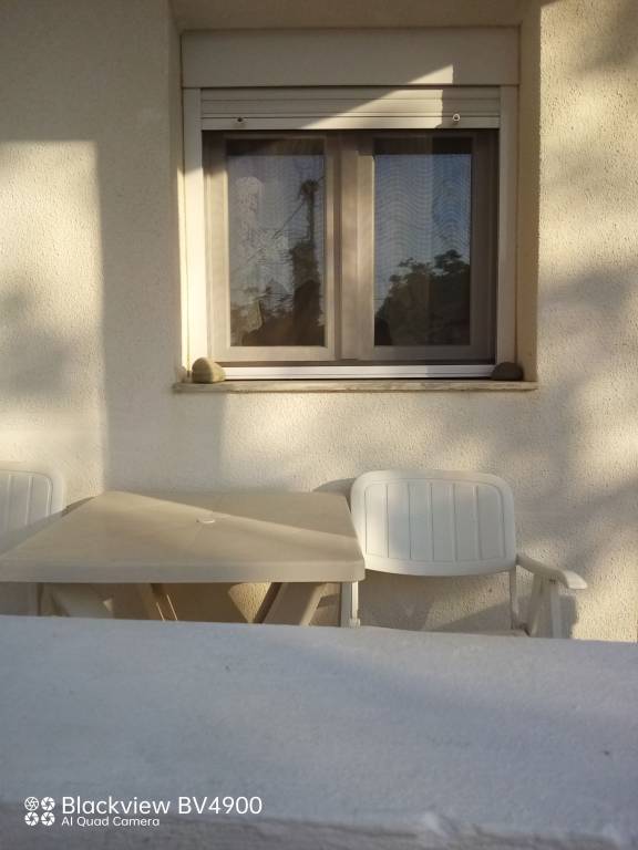 foto29