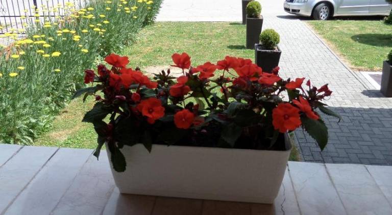 foto23