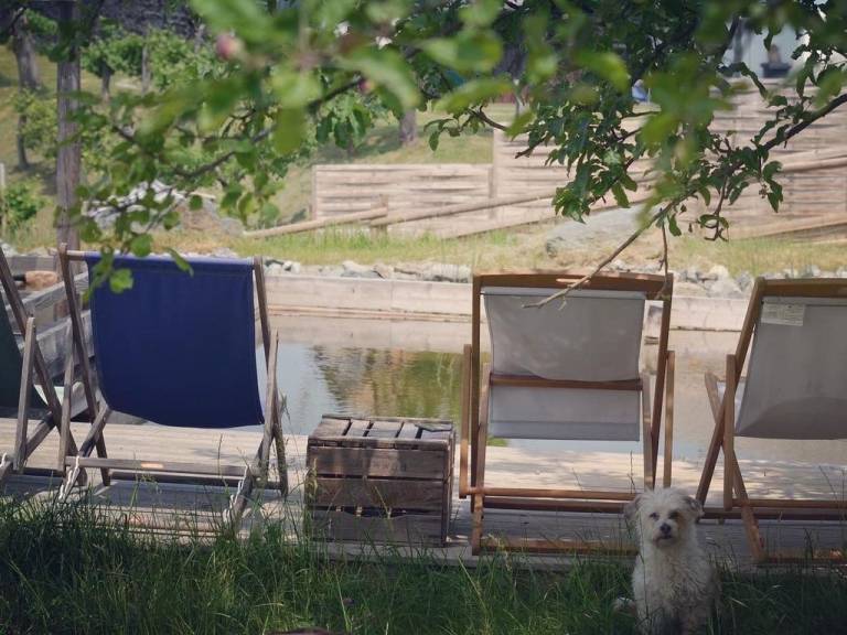 foto17