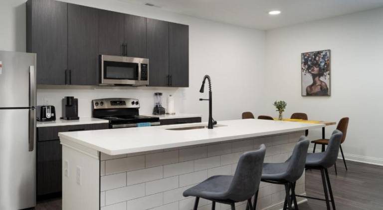 Golden Sun Spacious 1BR Pond View King Bed WFH Gym — photo 3