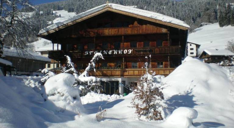 Pension Steinerhof — photo 5