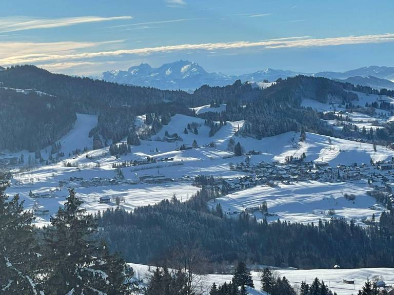Alpchalet Staufner Quelle — photo 3