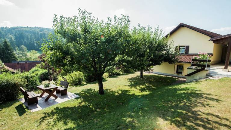 Ferienhaus Plankenfels