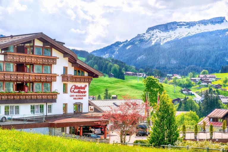 Hotel Almhof in Bregenz