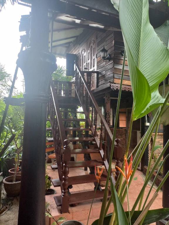 foto11