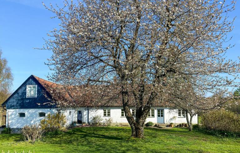Ferienhaus Knäbäckshusen