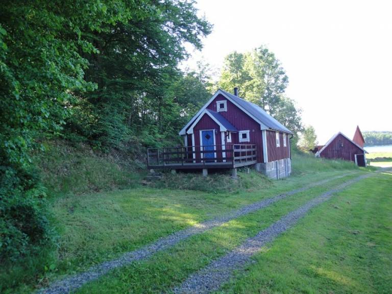 foto2