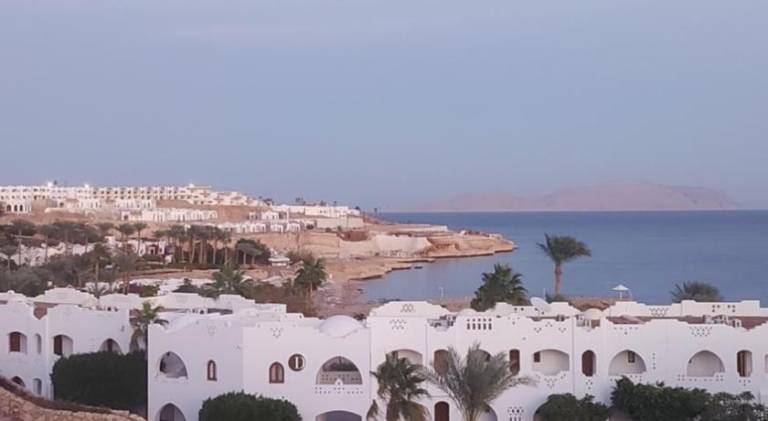 Beautiful rental apartment with pool | Close to the beach | Pets are welcome — photo 4