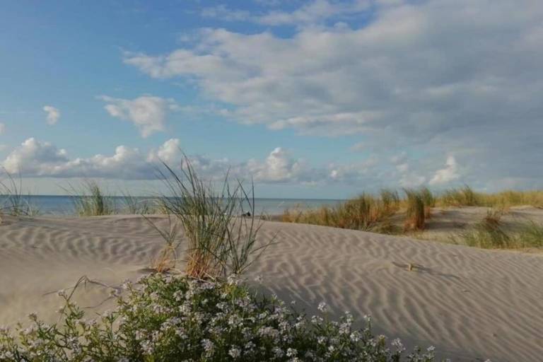 foto20