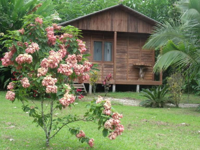 Cataratas Bijagua Lodge