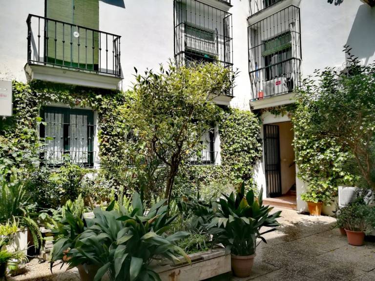 Nice holiday apartment | Near Seville Cathedral | Pets allowed in Seville