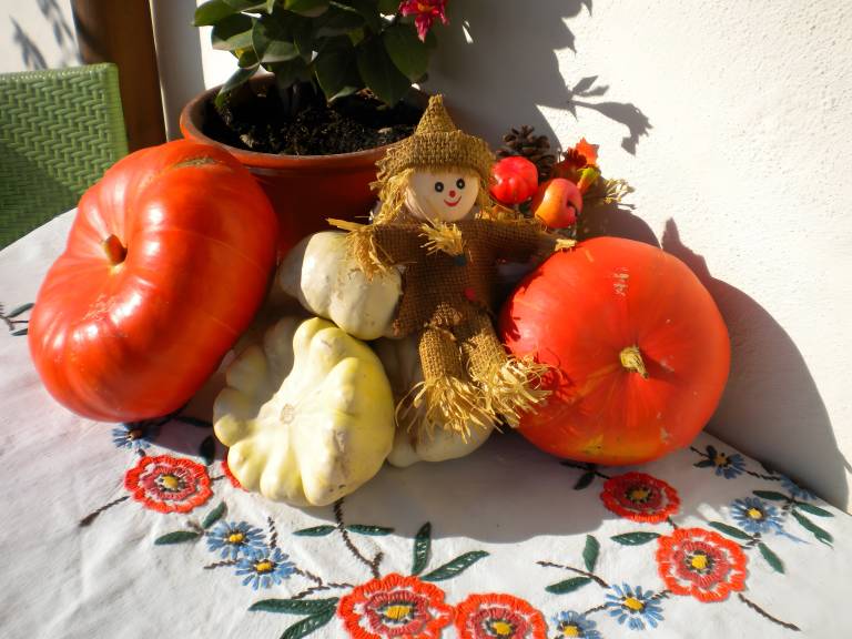 foto23