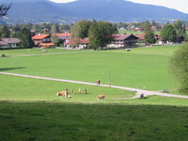 foto12