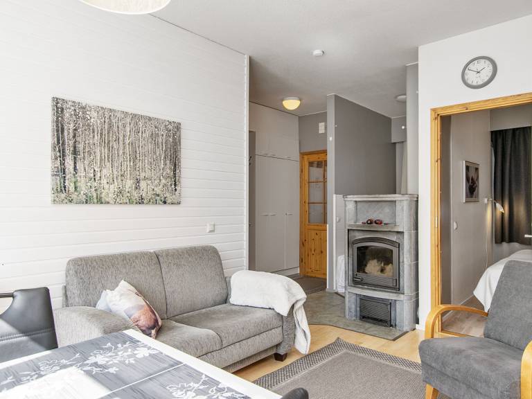 House with sauna | Pets are welcome — photo 5
