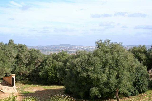 foto13