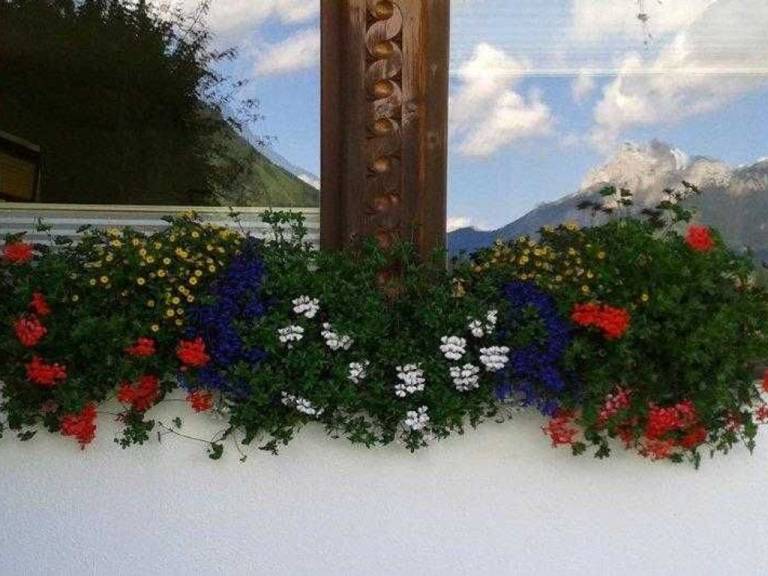 foto18