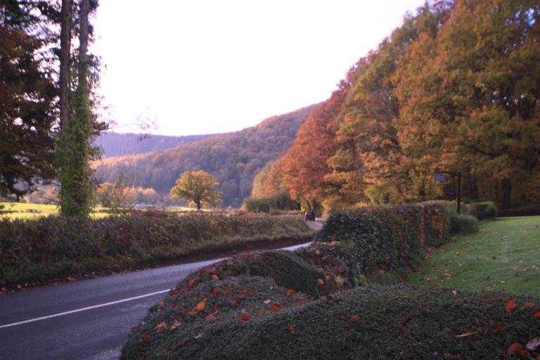 foto16