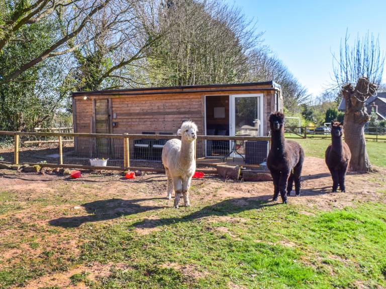 Cottage Daresbury