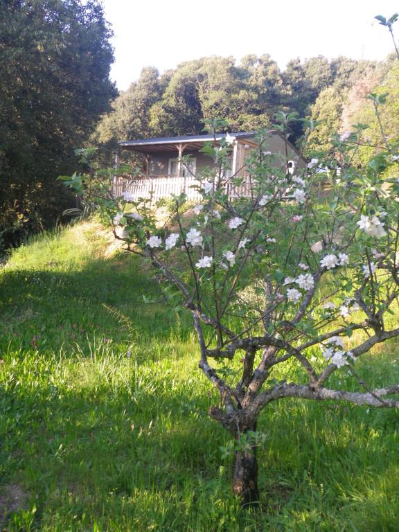 Chalet Vico