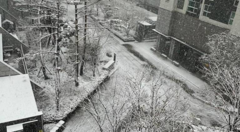 foto19