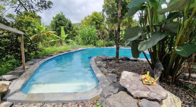 Garden of munduk — photo 4
